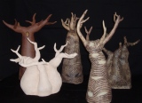 Mes amis les arbres - LES ARBRES